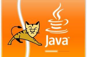 tomcat java