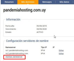 dns antel